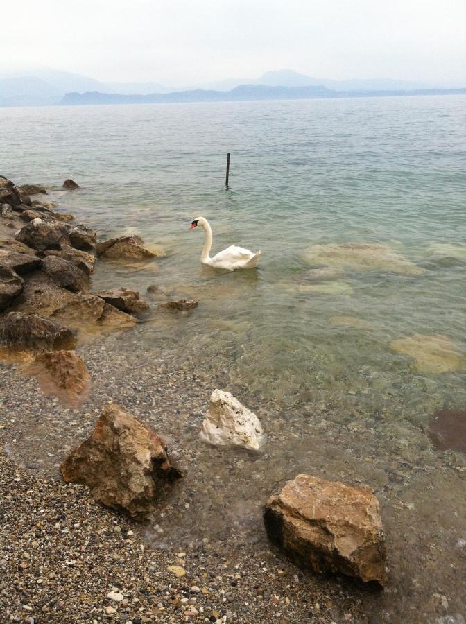 Casa Caterina Lake View Holidays Apartments Peschiera del Garda Eksteriør billede